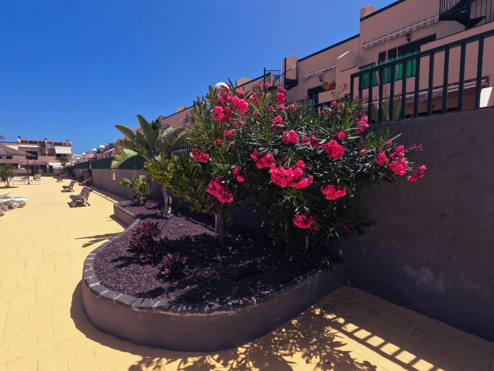 Casa Montana Amarilla 60 Apartment Costa Del Silencio Exterior photo